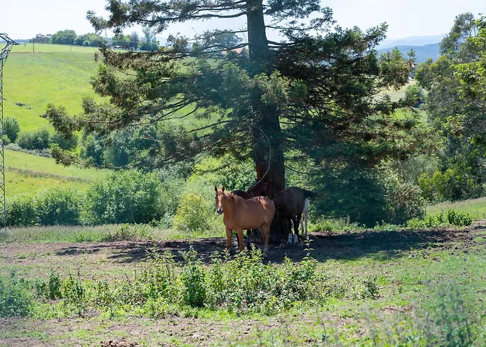 Сasa de vacaciones El Mirador De